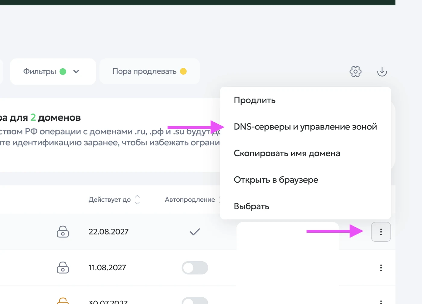 Меню домена в Рег.ру с выбранным пунктом «DNS-серверы и управление зоной»